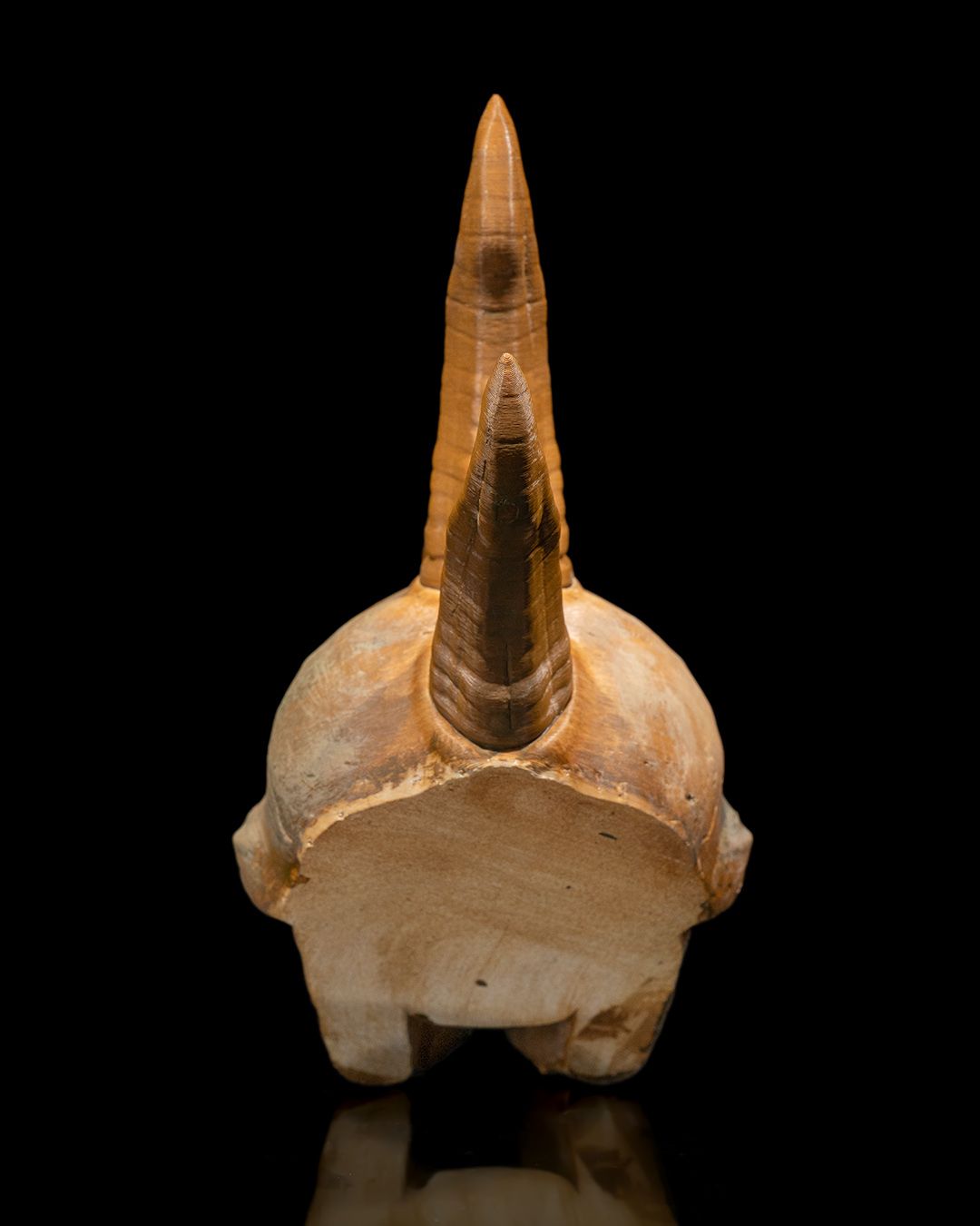 Black Dragon Skull